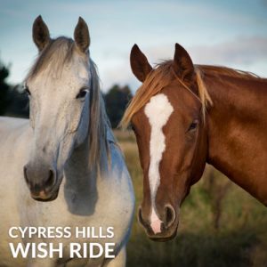 Cypress Hills Wish Ride