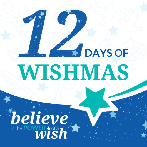 12 Days of Wishmas